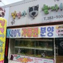 멍멍아놀자 이미지