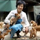 천사애견 이미지