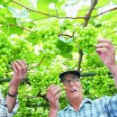 이종덕농장 이미지