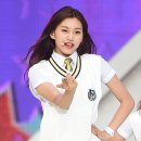 도연Dream