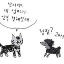 치킨쥼 - 시흥시 매화2로32번길 28 | 치킨쥼