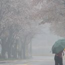 송성1리마을회관 이미지