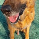 헬로동물병원 이미지