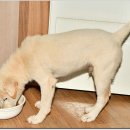 광탄한의원 이미지