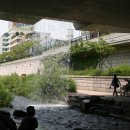 도심의 쉼터 이미지