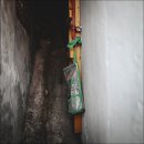 청인사