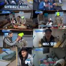 뱃고동 이미지