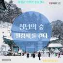 진부(오대산)관광농원 | 평창 진부면 체류형쉼터 .농원 구상도)! 산과 개울 그림같은 풍경