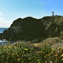 1004-11카페 이미지