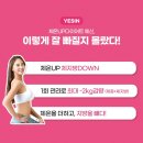 체온UP다이어트 이미지