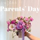 클로리스 이미지