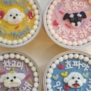 냥냥쩝쩝 이미지