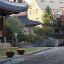 카무인텔 이미지