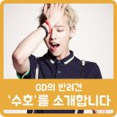 가호메디칼 네이버블로그