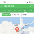 애월꼴통돼지