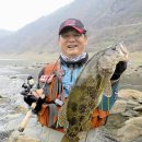 여울쏘가리 이미지