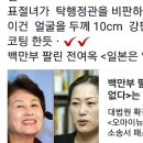 전여옥 표절 이미지