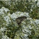 남진농장 이미지