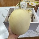 수신초등학교 | 수신 메론/멜론 한나네 직판장 내돈내산 구매 후기