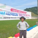 탑골2 이미지