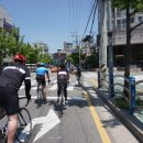 라이크데이 like day