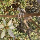 교동면옥 안동옥동점 | 교동면옥 안동옥동점의 정월보름