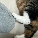 한아름포도원