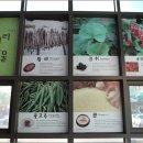 인제관광정보센터 이미지