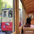 동신지물 | [여자혼자 유럽여행] 스위스 3일차 라우터부룬넨 쉬니케 플라테 하더 쿨룸 VIP패스 알차게 쓰기