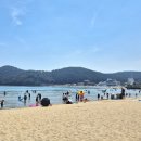 테인566 | 부산 기장 일광해수욕장 명주조개 잡기 (한강라면, 수제버거, 파라솔, 무료주차)