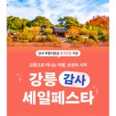 강릉하우스 공인중개사사무소 이미지