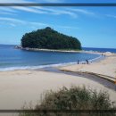 마차진해변 | 강원도 고성군 가볼만한 물놀이 장소 🌊 마차진 해수욕장 제대로 즐기기! (가족·커플·차박 추천)