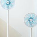 대우낚시 - 서구 서대구로 154 | 대우낚시