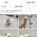 오늘도 힘차개 이미지