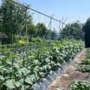 해돈농장 이미지