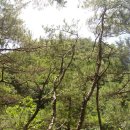 공근면사무소 이미지