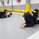 키즈 MMA 주짓수 태권도 이미지