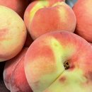 명성송이대게 이미지