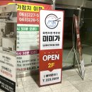미미가스시