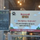 편하개 탈고양 이미지