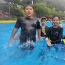 경희대새한태권도장 이미지