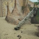 임마누엘의집 이미지