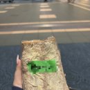 혼자 6박7일 LA여행) 밴쿠버에서 LA 입국심사/플레어에어 LA/LA 한인민박/LA 힐링게스트 하우스...