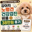 4uPC | 강아지 노령견 건강검진 비용, 페이 7살 첫 종합검진 38만원 후기