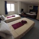 예그리나(Yegrina) 이미지