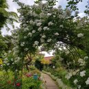 물맑은집 이미지