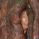 박상곤 이미지