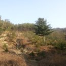 우암산순환로 이미지