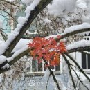 [강원경제신문 -위점숙의 디카 + 詩와 하루] 위점숙/ 커플 매니저 이미지