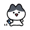 플라비 이미지